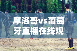 摩洛哥vs葡萄牙直播在线观看  第1张