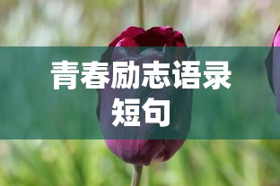 青春励志语录短句  第1张
