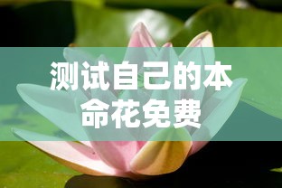 测试自己的本命花免费  第1张