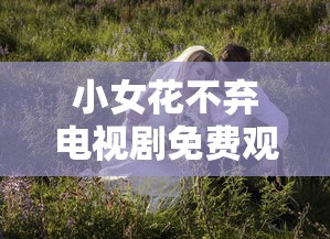 小女花不弃电视剧免费观看全集  第1张