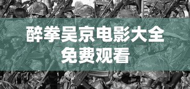 醉拳吴京电影大全免费观看  第1张