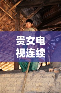 贵女电视连续剧免费播放在线观看  第1张