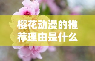樱花动漫的推荐理由是什么  第1张