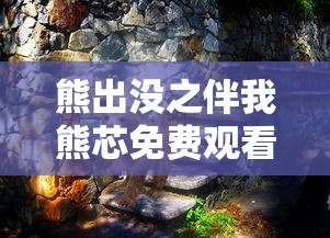 熊出没之伴我熊芯免费观看高清版  第1张
