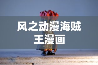 风之动漫海贼王漫画  第1张