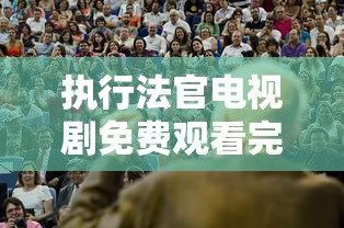 执行法官电视剧免费观看完整版  第1张