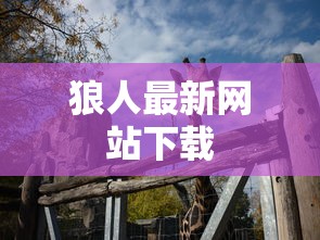 狼人最新网站下载  第1张