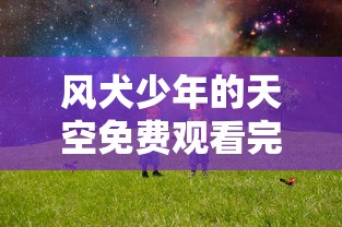 风犬少年的天空免费观看完整版下载  第1张