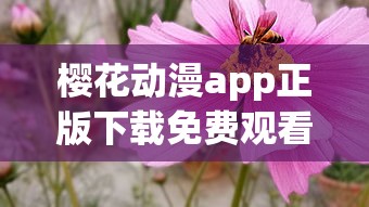 悍将传世手机版  第1张