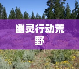 幽灵行动荒野  第1张