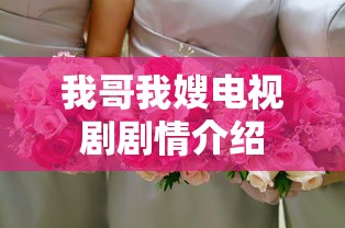 我哥我嫂电视剧剧情介绍  第1张