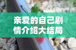 王者荣耀火舞铭文搭配  第1张