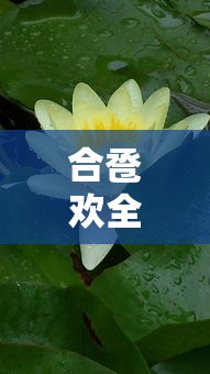 合卺欢全文免费阅读盛开  第1张