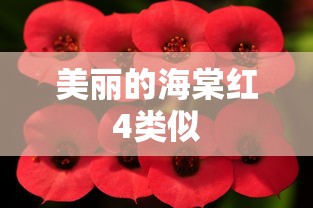 王牌战士2  第1张