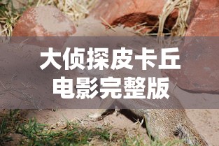 大侦探皮卡丘电影完整版  第1张