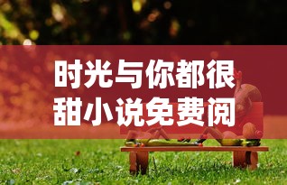 时光与你都很甜小说免费阅读  第1张