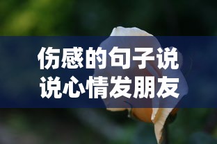 伤感的句子说说心情发朋友圈  第1张