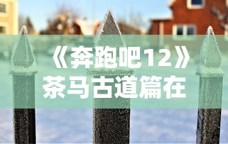 飞行棋大战下载  第1张