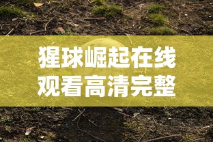 猩球崛起在线观看高清完整版免费  第1张