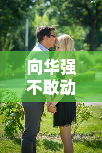 向华强不敢动的5个人是谁  第1张