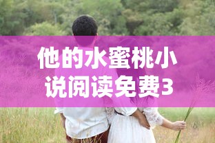 他的水蜜桃小说阅读免费30  第1张