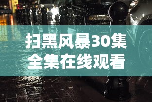扫黑风暴30集全集在线观看免费  第1张