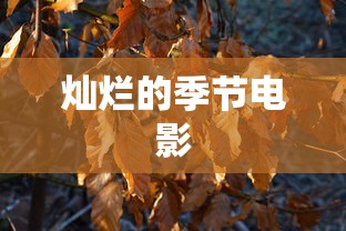 灿烂的季节电影  第1张
