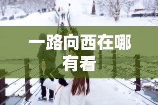 一路向西在哪有看  第1张