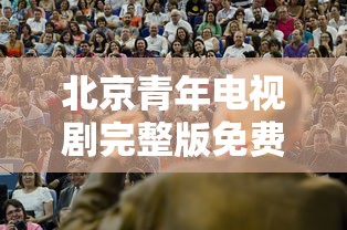 北京青年电视剧完整版免费观看  第1张