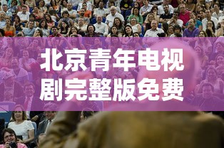 北京青年电视剧完整版免费观看  第1张