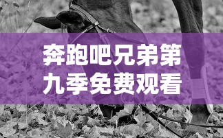 奔跑吧兄弟第九季免费观看完整版  第1张