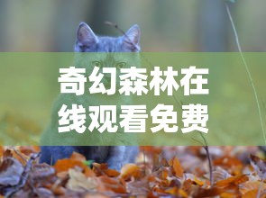 霸王大陆武将出现时间和地点  第1张