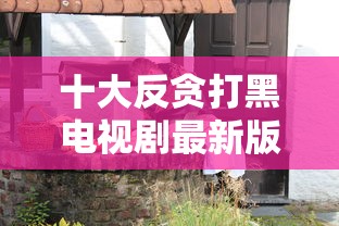 十大反贪打黑电视剧最新版  第1张