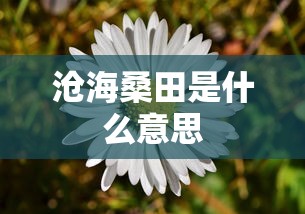 沧海桑田是什么意思  第1张