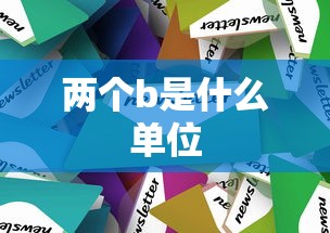 两个b是什么单位  第1张