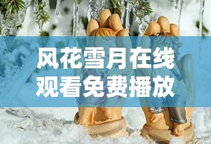 风花雪月在线观看免费播放少年歌行  第1张