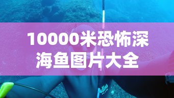 10000米恐怖深海鱼图片大全  第1张