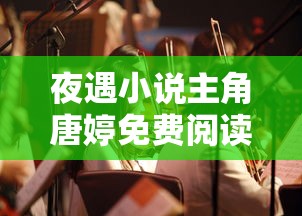 夜遇小说主角唐婷免费阅读  第1张