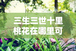 三生三世十里桃花在哪里可以看到  第1张