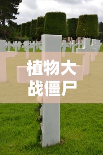 植物大战僵尸1经典版下载  第1张