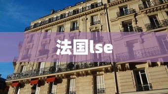 法国lse  第1张