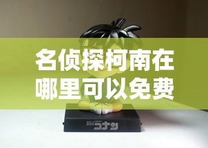 名侦探柯南在哪里可以免费观看  第1张