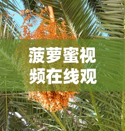 菠萝蜜视频在线观看大全高清下载  第1张