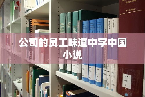 公司的员工味道中字中国小说  第1张