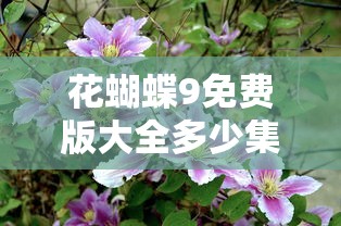 花蝴蝶9免费版大全多少集  第1张