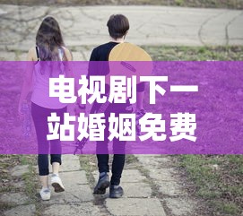 电视剧下一站婚姻免费观看全集剧情  第1张