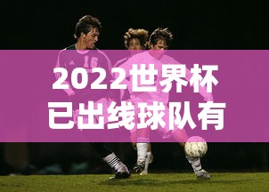 2022世界杯已出线球队有哪些  第1张