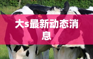大s最新动态消息  第1张