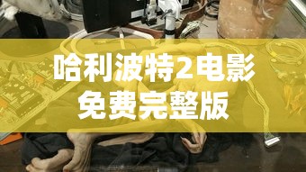 哈利波特2电影免费完整版  第1张