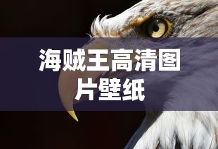 海贼王高清图片壁纸  第1张